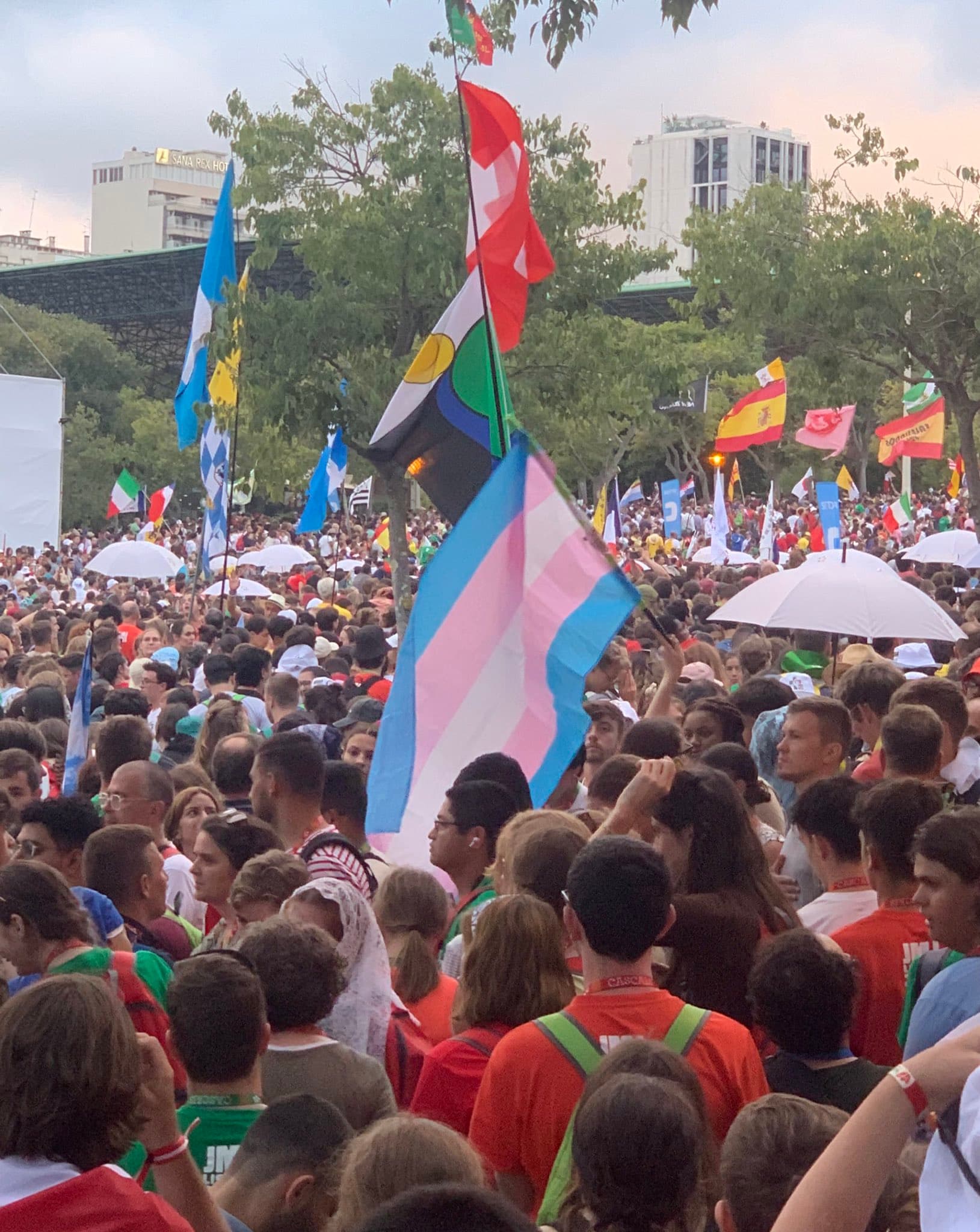 a picture of a a trans flag held up in a crowd, getting weird looks from everyone :3c. photo taken by some transphobe and posted to own me I guess. I am not going to credit him
