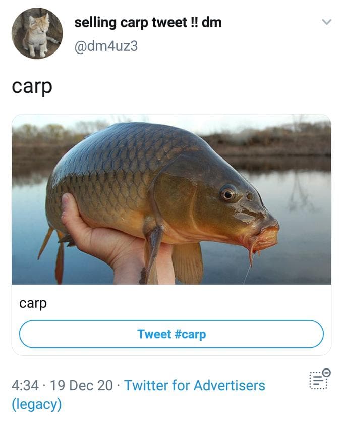 A screenshot of the original twitter post by me, with an image of a carp and a prompt saying Tweet #carp